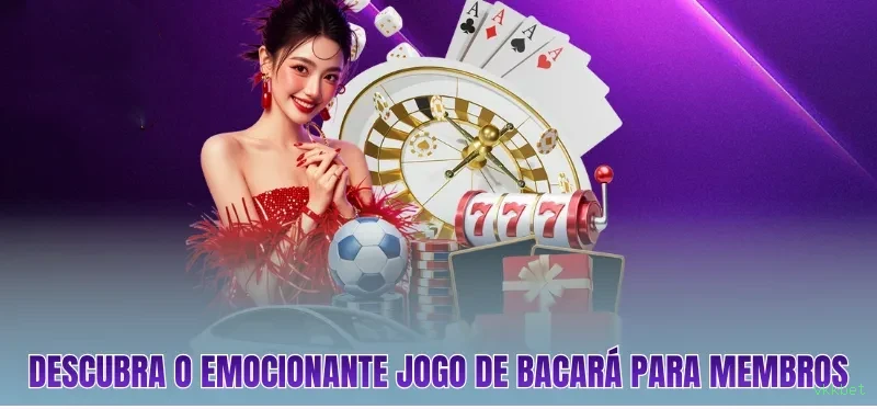 Plataforma completa da vkkbet com todos os jogos